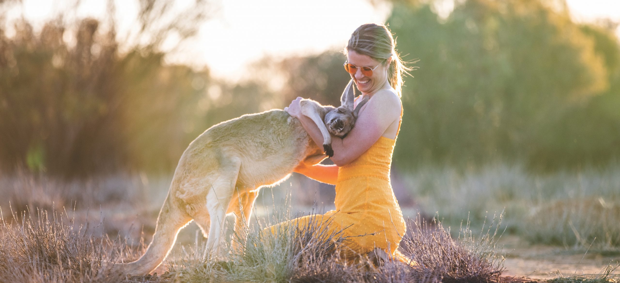 Kangaroo-Sanctuary