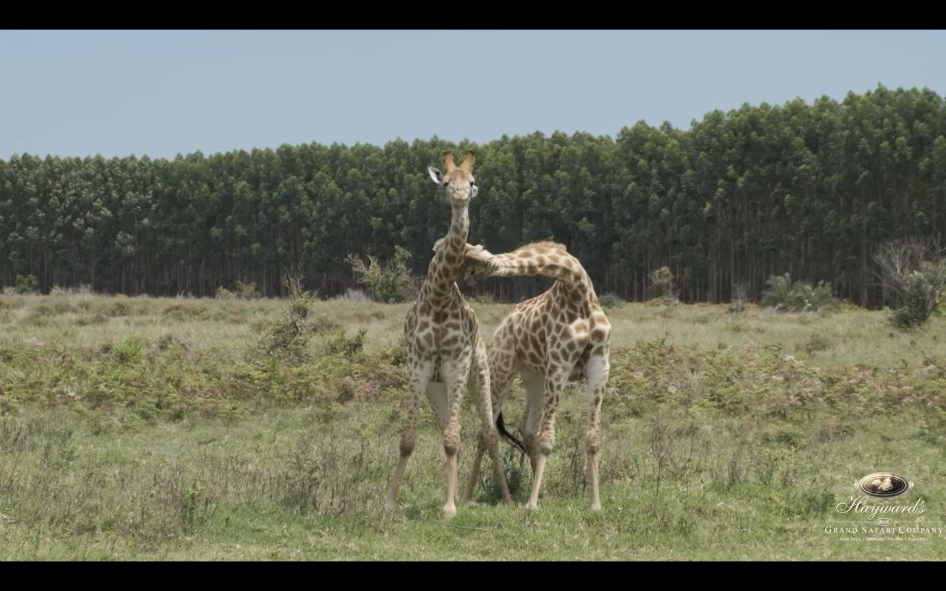 Exploration into iSimangaliso Wetland Park