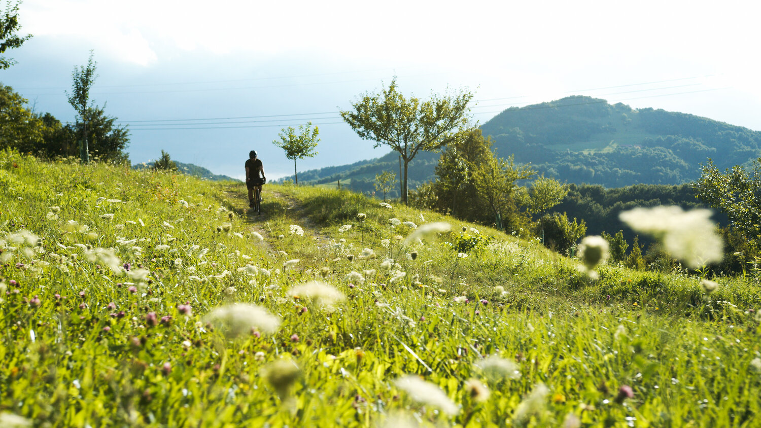 rsz_sto_slovenia_green_matic_ritonja